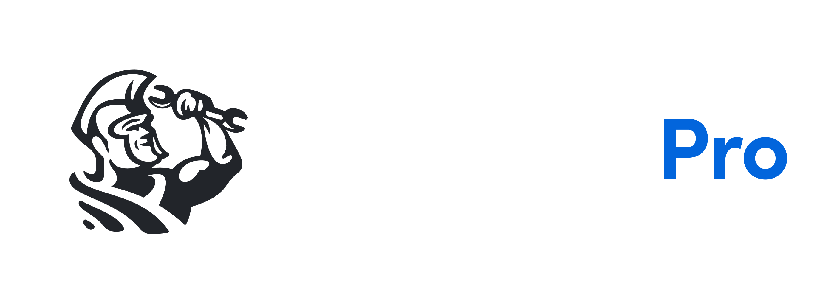 PLG Fleet Pro Logo